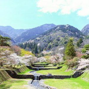 養老公園、桜、3月春の花、岐阜県養老郡の観光・撮影スポットの画像と写真
