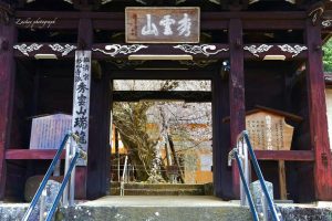 瑞龍寺、しだれ桜、3月春の花、愛知県豊田市の観光・撮影スポットの画像と写真