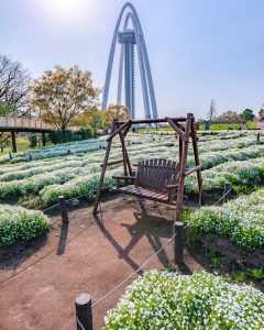 138タワーパーク、ネモフィラ、4月の春の花、愛知県一宮市の観光・撮影スポットの画像と写真