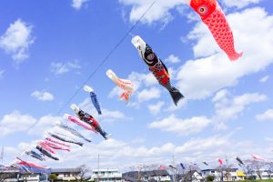 相川水辺公園、さくら、鯉のぼり、4月春、岐阜県不破郡の観光・撮影スポットの画像と写真