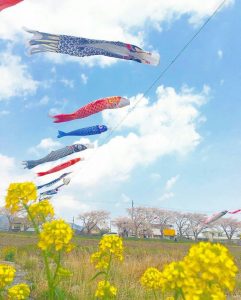 相川水辺公園、さくら、鯉のぼり、4月春、岐阜県不破郡の観光・撮影スポットの画像と写真