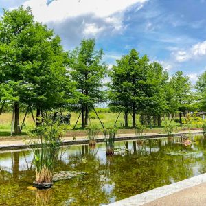 フラワーパーク江南、5月夏の花、愛知県江南市の観光・撮影スポットの画像と写真