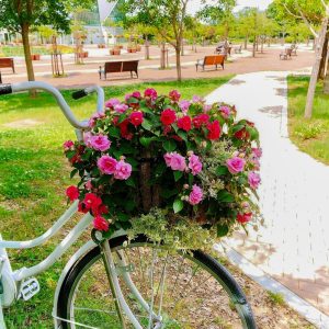 フラワーパーク江南、5月夏の花、愛知県江南市の観光・撮影スポットの画像と写真