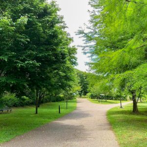 フラワーパーク江南、5月夏の花、愛知県江南市の観光・撮影スポットの画像と写真