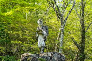 藤の回廊、5月夏の花、愛知県豊田市の観光・撮影スポットの画像と写真