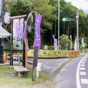 藤の回廊、5月夏の花、愛知県豊田市の観光・撮影スポットの画像と写真