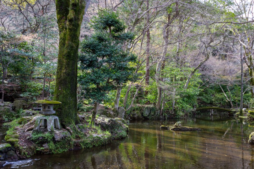 岐阜公園、日本庭園、4月春の花、岐阜県岐阜市の観光・撮影スポットの名所