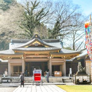 岐阜護国神社、桜、3月春の花、岐阜県岐阜市の観光・撮影スポットの画像と写真