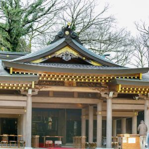 岐阜護国神社、桜、3月春の花、岐阜県岐阜市の観光・撮影スポットの画像と写真