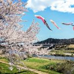 岐阜百年公園、鯉のぼり、4月春、岐阜県関市の観光・撮影スポットの画像と写真