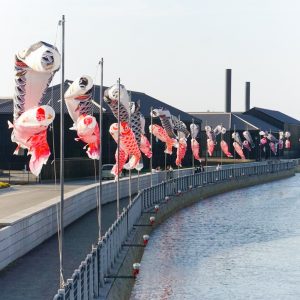半田運河、鯉のぼり、4月春、愛知県半田市の観光・撮影スポットの画像と写真