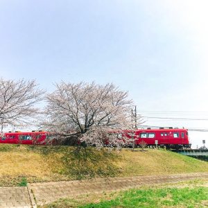 拾石川の鯉のぼり、春4月、愛知県蒲郡市の観光・撮影スポットの画像と写真