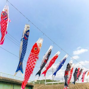 拾石川の鯉のぼり、春4月、愛知県蒲郡市の観光・撮影スポットの画像と写真