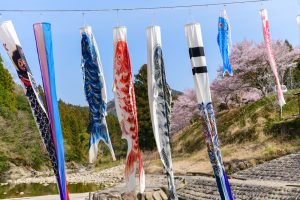 広見ヤナ、鯉のぼり、３月春、愛知県豊田市の観光・撮影スポットの画像と写真