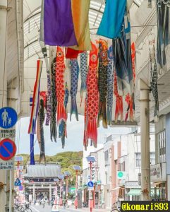 一宮本町商店街、鯉のぼり、４月春、愛知県一宮市の観光・撮影スポットの画像と写真