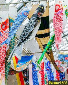 一宮本町商店街、鯉のぼり、４月春、愛知県一宮市の観光・撮影スポットの画像と写真