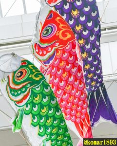 一宮本町商店街、鯉のぼり、４月春、愛知県一宮市の観光・撮影スポットの画像と写真