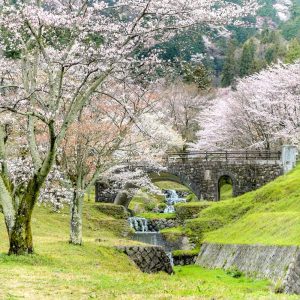 霞間ヶ渓の桜並木、 3月春の花、岐阜県揖斐郡の観光・撮影スポット