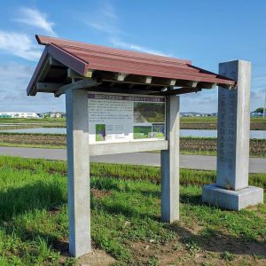小堤西池かきつばた群落、5月夏の花、愛知県刈谷市の観光・撮影スポットの画像と写真