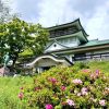 小牧山史跡公園。つつじ、4月春の花、愛知県小牧市の観光・撮影スポットの画像と写真