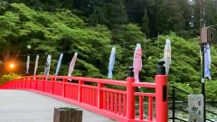 香嵐渓、鯉のぼり、5月夏、愛知県豊田市の観光・撮影スポットの画像と写真