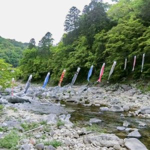 香嵐渓、鯉のぼり、5月夏、愛知県豊田市の観光・撮影スポットの画像と写真