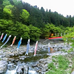 香嵐渓、鯉のぼり、5月夏、愛知県豊田市の観光・撮影スポットの画像と写真