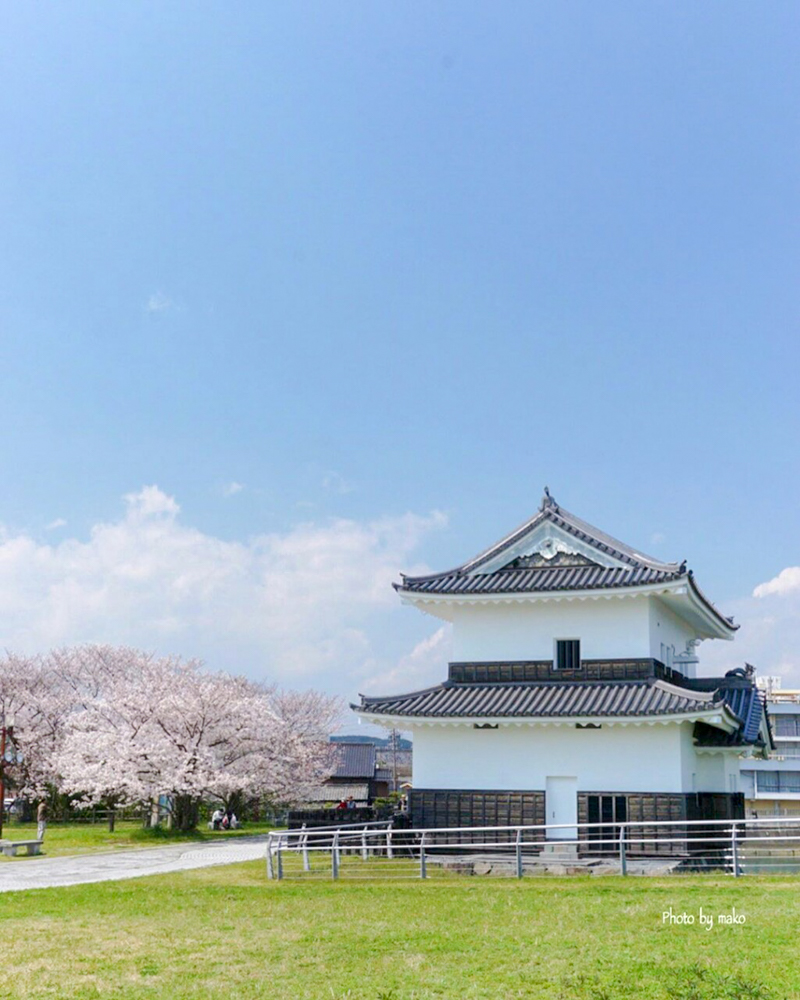 九華公園、蟠龍櫓（ばんりゅうやぐら）桜並木、3月春の花、三重県桑名市の観光・撮影スポットの画像と写真