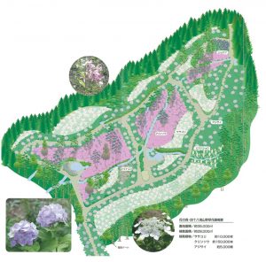 四十八滝山野草花園