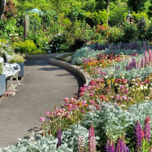 名城公園、夏の花、名古屋市北区の観光・撮影スポットの画像と写真