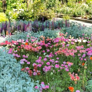 名城公園、夏の花、名古屋市北区の観光・撮影スポットの画像と写真