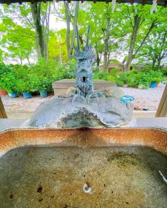 御裳神社、あじさい、6月夏の花、愛知県一宮市の観光・撮影スポットの画像と写真