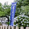 御裳神社、あじさい、6月夏の花、愛知県一宮市の観光・撮影スポットの名所