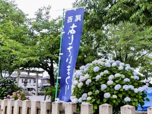 御裳神社、あじさい、6月夏の花、愛知県一宮市の観光・撮影スポットの名所