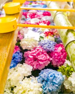 御裳神社、あじさい、6月夏の花、愛知県一宮市の観光・撮影スポットの画像と写真