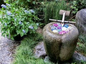 御裳神社、あじさい、6月夏の花、愛知県一宮市の観光・撮影スポットの名所