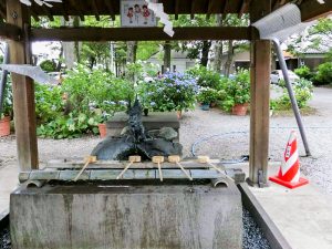 御裳神社、あじさい、6月夏の花、愛知県一宮市の観光・撮影スポットの名所