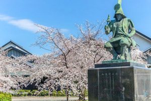 名古屋城、さくら、3月春の花、名古屋市中区の観光・撮影スポットの画像と写真