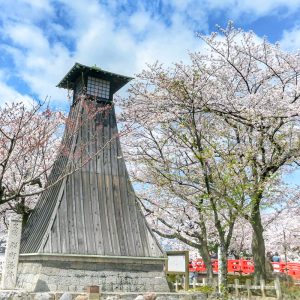 奥の細道むすびの地記念館、水門川、桜まつり、4月春の花、岐阜県大垣市の観光・撮影スポットの画像と写真