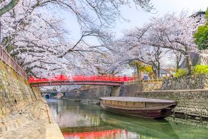 奥の細道むすびの地記念館、水門川、桜まつり、4月春の花、岐阜県大垣市の観光・撮影スポットの画像と写真