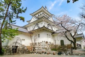大垣城、桜まつり、4月春の花、岐阜県大垣市の観光・撮影スポットの画像と写真