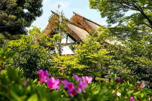 大倉公園、つつじ、５月夏の花、愛知県大府市の観光・撮影スポットの画像と写真