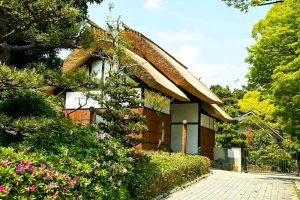 大倉公園、つつじ、５月夏の花、愛知県大府市の観光・撮影スポットの画像と写真