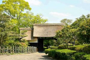 大倉公園、つつじ、５月夏の花、愛知県大府市の観光・撮影スポットの画像と写真