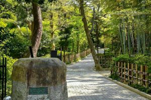 大倉公園、つつじ、５月夏の花、愛知県大府市の観光・撮影スポットの画像と写真