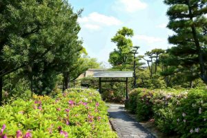 大倉公園、つつじ、５月夏の花、愛知県大府市の観光・撮影スポットの画像と写真