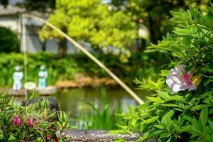 大倉公園、つつじ、５月夏の花、愛知県大府市の観光・撮影スポットの画像と写真