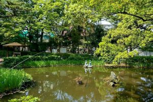 大倉公園、つつじ、５月夏の花、愛知県大府市の観光・撮影スポットの画像と写真