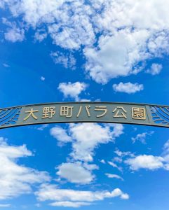 大野町バラ公園、5月夏の花、岐阜県揖斐郡大野町の観光・撮影スポットの画像と写真