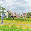 青い鯉のぼりプロジェクト 、印場橋、4月春、愛知県尾張旭市の観光・撮影スポットの画像と写真